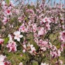 9.26.fri＜토지 9＞ 불편한 동거 이미지