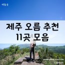 오름 - 동구 영초윗길 20 | 오름