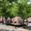 함평나비마을서울캠핑장 이미지