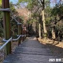 남원읍 신례교 | [제주] 이승악~신례천생태탐방로