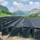 무주읍182 이미지