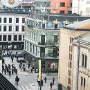 바다 어울림 이미지