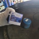 팀모터스 이미지