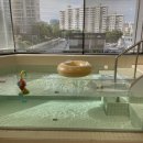 조이풀(joypool)