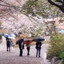 봄비어린이공원 이미지