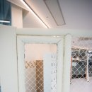 플렉스 복싱 킥복싱 이미지