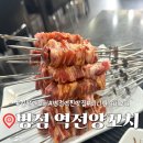 대인생역전 | 병점역 찐맛집 [역전양꼬치] 미니양갈비 지삼선 극찬 후기