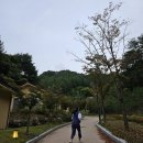 금강송에코리움(찜질방) | [울진] 가족여행 숙소 금강송 에코리움 추천후기