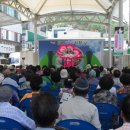 고령대가야시장 이미지