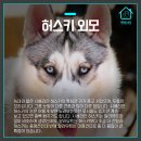 오드리쉬