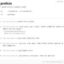 프로피키오