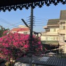 짝s 동전 노래연습장 | 랜드 식당 아침 먹고 징짜이 마켓, 굿굿즈, Lotus's, 선데이마켓, 편의점 들리고 숙소에서 수끼창푸악...