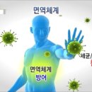 홍삼플러스
