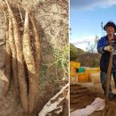 동원환경(1농장) 이미지