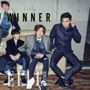 위너 Daum카페
