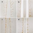 항Na+,K+-ATPase 혈청으로 염색한 뱀장어 아가미의 소금 세포 이미지