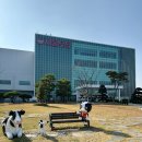 서울우유 양주공장 견학체험 후기 무료체험 // 취소분 체험신청