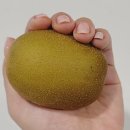 남양청과 이미지