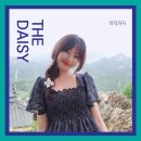 더 데이지(The Daisy)