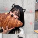 경복궁.자이언트 카페 이미지