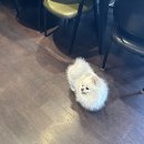 삼성역 왁싱 안아프게 잘 하는곳, 메리왁싱 삼성에서 브라질리언왁싱 솔직 후기