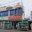 풍년종묘농약사 이미지