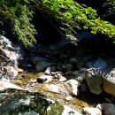 미소화원 이미지