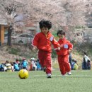 십리대밭 축구장 이미지