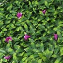 글로리팜 이미지