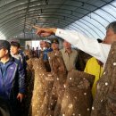 동정농장 이미지