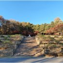 옥천동 8-10 이미지