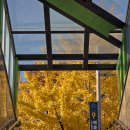 오버 데어 | 구월동 오버데어 : 양식 뇨끼 맛집 추천 (+반려동물동반식당)