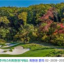 휘슬링디자인 이미지