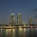 시니어댄스 (고급) 이미지