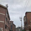 성진스크린골프 이미지