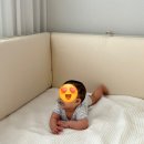 (주)폴리큐브 | [육아일기] 생후 211~217일 / 이유식 두끼 시작, 두번째 낙상사고🥲