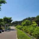 광교 솔내공원 옆길(이의동 1373-8 솔내공원부분~이의동 1373-9 솔내공원부분) | 광교역사박물관