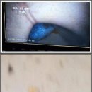 UR(파주시)-[청석로]-하-6 | 파주 하수구막힘 종결! 뻥 뚫리는 속 시원한 비법, 진짜 후기 대방출!