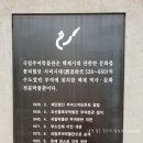 고려이궁지 | 부여 가볼만한곳, 국립부여박물관