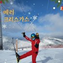 코랜드