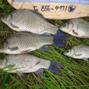 자인대물낚시 이미지