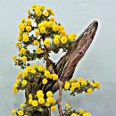 마산가고파 국화축제장 이미지