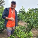 정진수농장 이미지