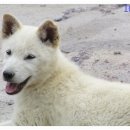 보화1로1 이미지