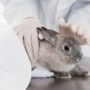 작은 친구 동물병원 이미지