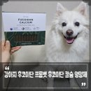 (주)바로벳 | 강아지 후코이단 급여 장점, 노견영양제로도 좋은 프롬벳 후코이단 칼슘 영양제