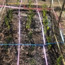 제2중원농장 이미지