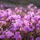 능성목장 이미지