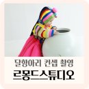 [내돈내산] 돌 기념 달항아리 스튜디오 촬영 후기 (르몽드스튜디오)