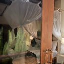 The Rose | 발리 우붓 감성 제대로 느끼는 한국인 없는 찐 숙소 - The Compass Rose Ubud 후기